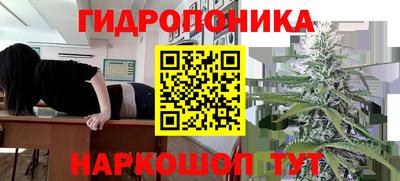 прущие грибы Коммунар