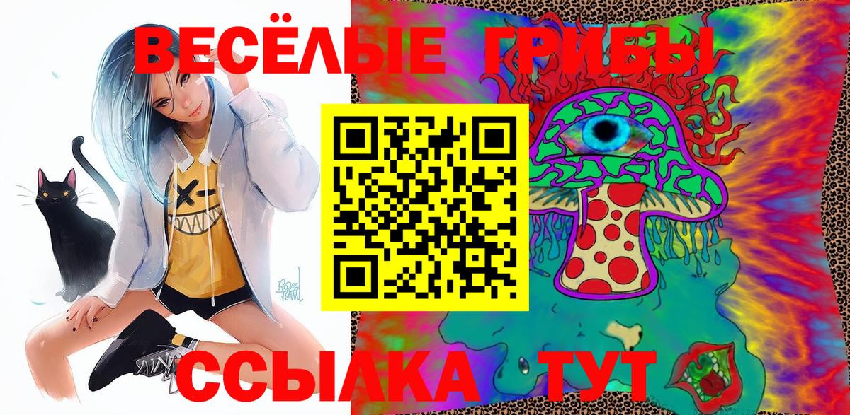 Зерноград  Псилоцибиновые грибы Psilocybe  Вход с VPN  Псилоцибиновые грибы мицелий 