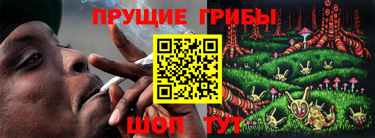 Галлюциногенные грибы Cubensis Зерноград